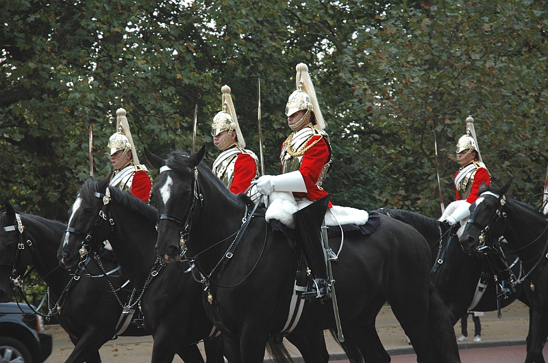 DSC_2013 A.JPG